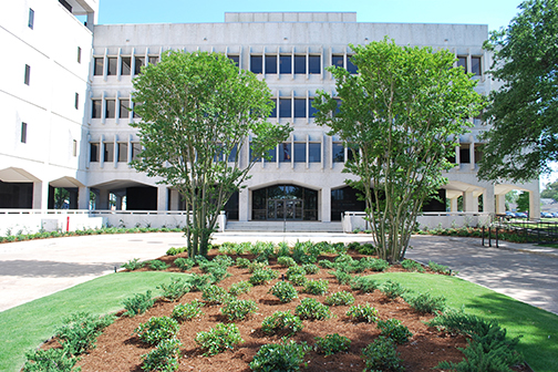 LSU Health New Orleans School of Dentistry